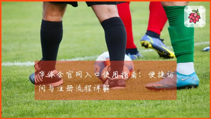 华体会官网入口使用指南：便捷访问与注册流程详解