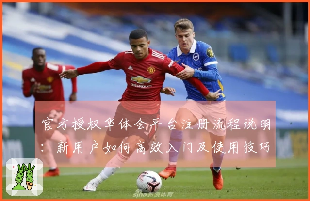 官方授权华体会平台注册流程说明:新用户如何高效入门及使用技巧分享