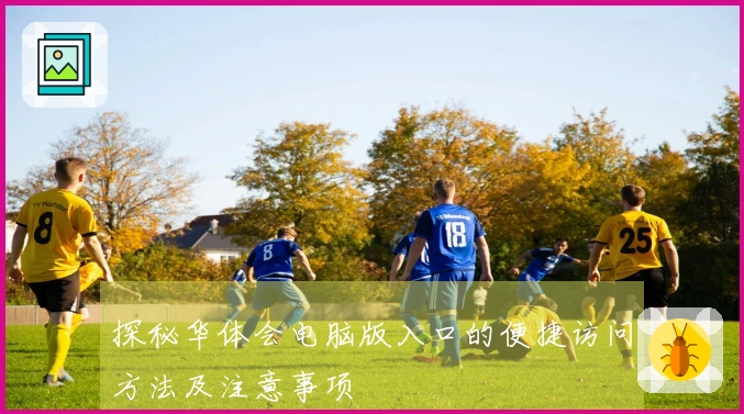 探秘华体会电脑版入口的便捷访问方法及注意事项